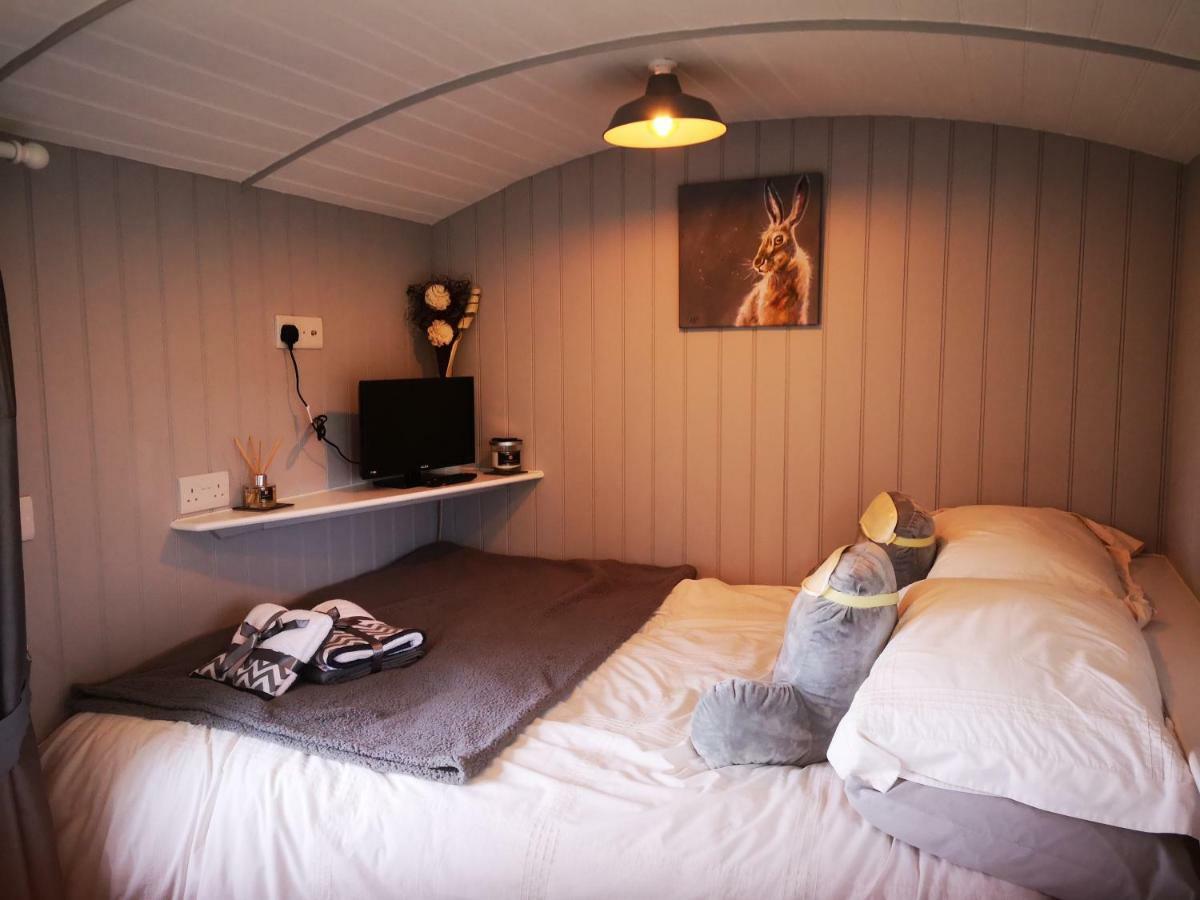 Villa Pen-Rhos Luxury Glamping "Cuckoo'S Nest" Llandrindod Wells Exterior foto