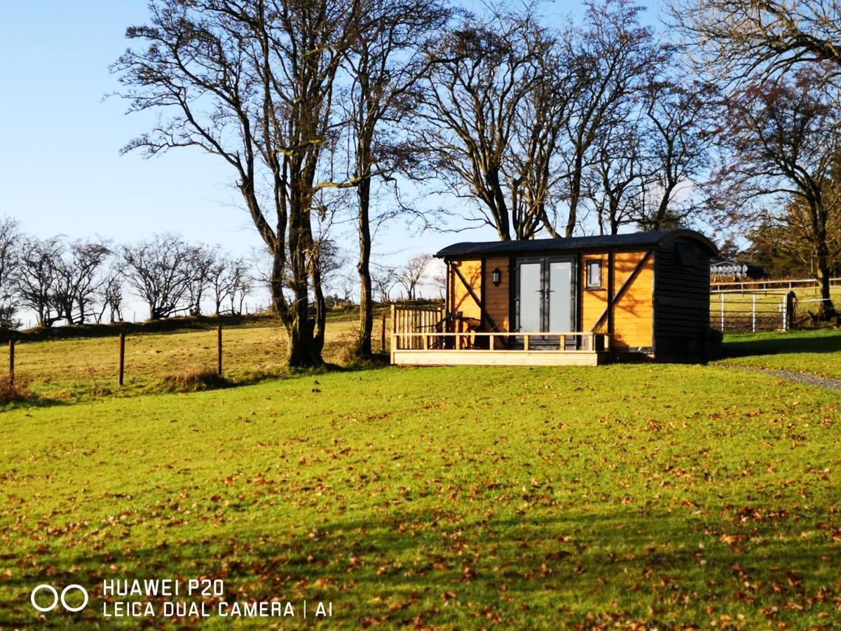 Villa Pen-Rhos Luxury Glamping "Cuckoo'S Nest" Llandrindod Wells Exterior foto